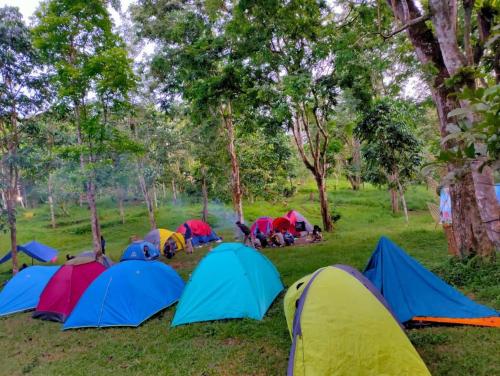 Taman di luar Lombok Healing Camp