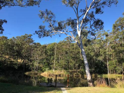 a swing set in a park with a tree at Amara Estate in Eumundi