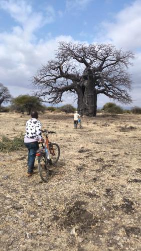 a person standing next to a bike in front of a tree at Jangwani River View Suits in Mto wa Mbu