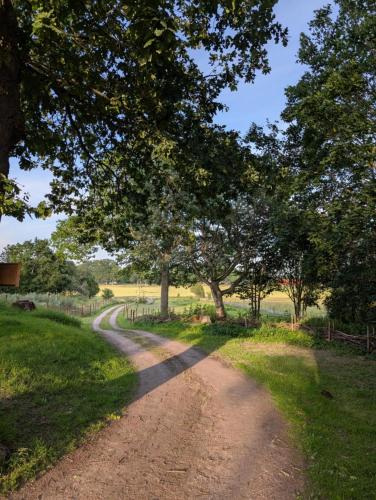 a dirt road with trees on the side of a field at Drängstugan in Kolbäck