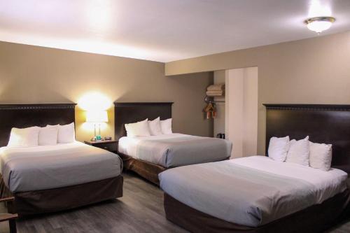 Postel nebo postele na pokoji v ubytování Quality Inn Gunnison-Crested Butte