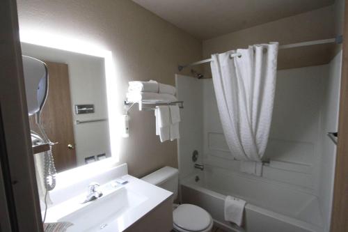 Koupelna v ubytování Quality Inn Gunnison-Crested Butte