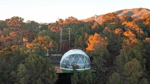 a glass dome in the middle of a forest of trees at Freya Geo Dome Suite At El Mistico Ranch in Nogal
