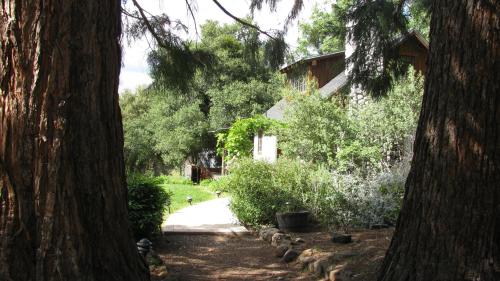 Κήπος έξω από το Yosemite Rose Bed and Breakfast