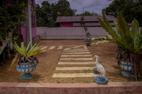 a bird standing in a yard with two vases at Dream House in Kirinda