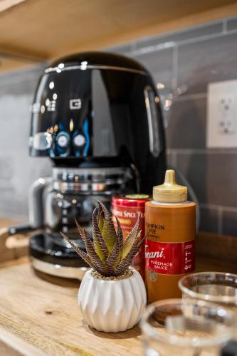 a plant sitting on a counter next to a coffee maker at Polar Express Hot Tub Pool Table Mountain Views in Williams