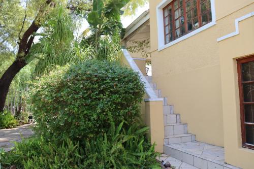 a large bush in front of a house at Victoria Manor in Upington