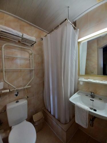 a bathroom with a toilet and a sink and a shower curtain at Koffieboontje Budget in Bruges
