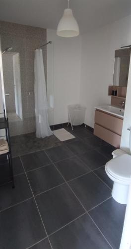 une salle de bain avec une douche, des toilettes et un lavabo dans l'établissement Appartement T2 meublé Dax, à Dax