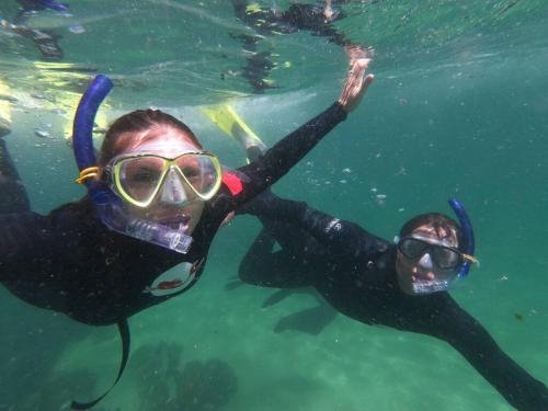 two people in diving gear swimming in the water at 29 Cutty Sark in Plettenberg Bay