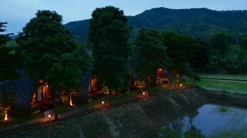 a group of trees with lights next to a pond at นานาเพชรบูรณ์ รีสอร์ท&คาเฟ่ 