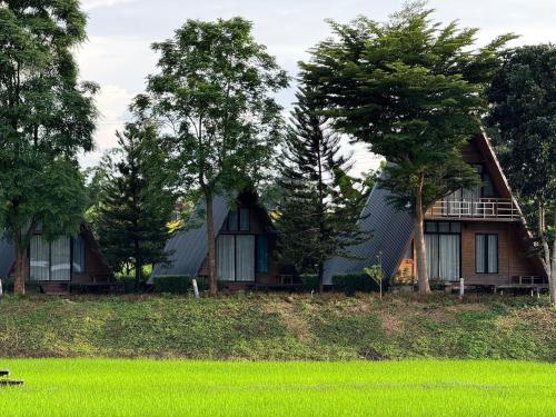 a group of cottages in a field with trees at นานาเพชรบูรณ์ รีสอร์ท&คาเฟ่ 