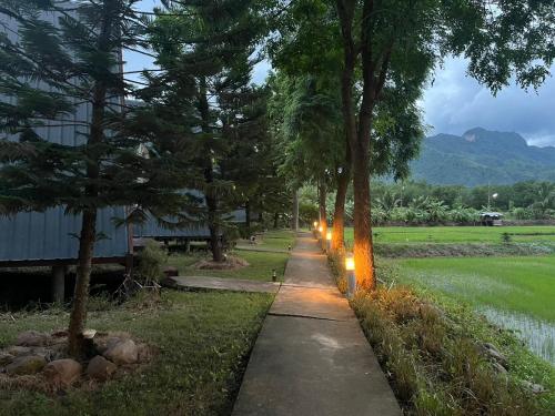 a sidewalk with lights on it next to a field at นานาเพชรบูรณ์ รีสอร์ท&คาเฟ่ 