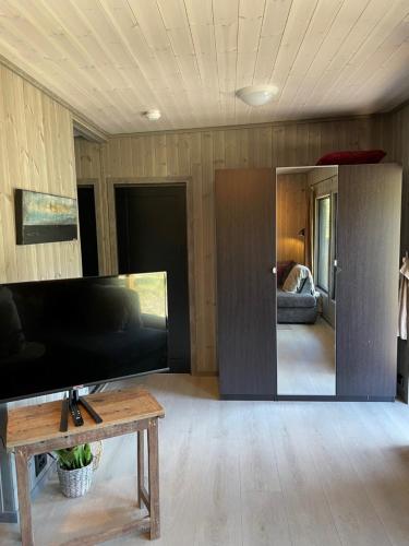 Μια τηλεόραση ή/και κέντρο ψυχαγωγίας στο Peaceful lakefront cabin