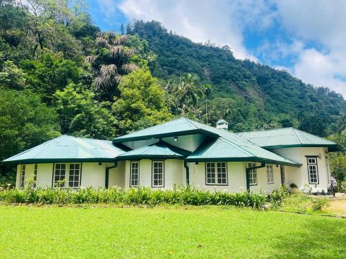 a yellow house with a green roof in front of a mountain at Herondale Estate Bunglow in Nawalapitiya