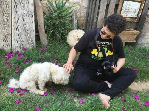 a man taking a picture of a dog with a camera at Beymelek Tas Evler in Demre