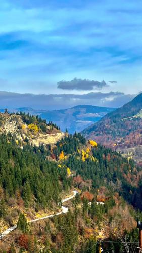 a view of a mountain with trees and a road at Villa Horizon - Stunning Mountain Views, Kuqishte in Boge