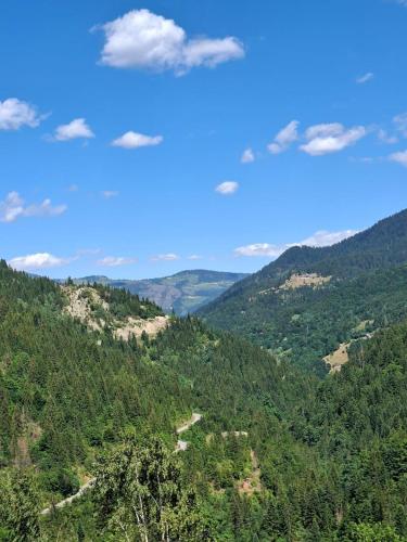 a view of a valley with trees and mountains at Villa Horizon - Stunning Mountain Views, Kuqishte in Boge
