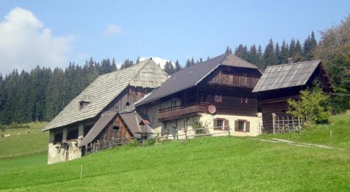 Gallery image of Bauernhaus Prosi Murtal Steiermark in Mariahof