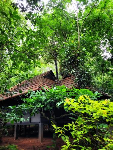 Zahrada ubytování Greens Tree House & Wood House