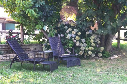 Κήπος έξω από το Il Roseto