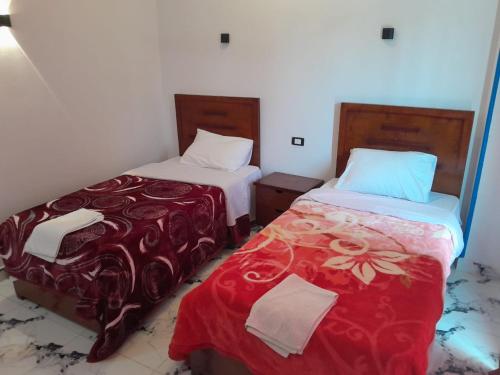 two beds sitting next to each other in a room at Bastet Retreat Hotel in Luxor