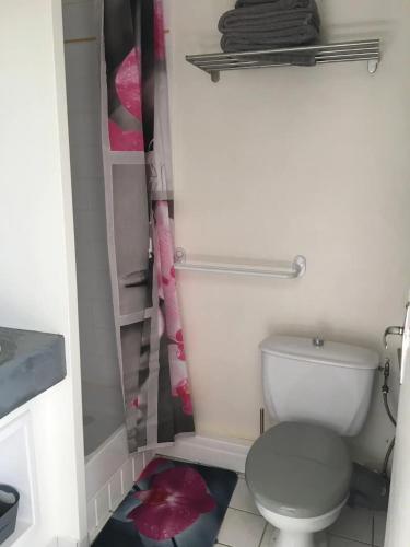 une petite salle de bain avec toilettes et douche dans l'établissement Les Lauriers N°3 - Soleil et repos, à La Michelière