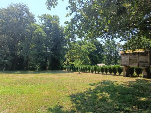 Taman di luar Casa verde de Lobán