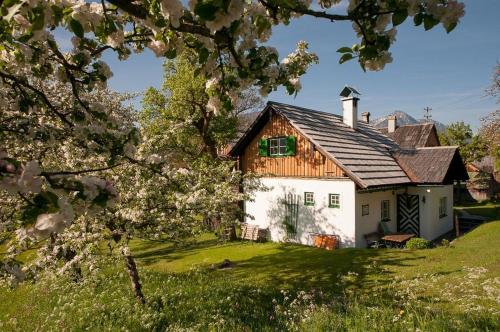 Hütterhof - Ferienhaus