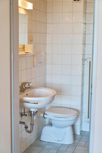a bathroom with a toilet and a sink at Monteurzimmer für bis zu 26 Personen in Straubing low budget mit Gemeinschaftsküche NEU in Straubing