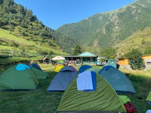 a group of tents in a field with mountains at Shatili ( Green House ) in Shatili