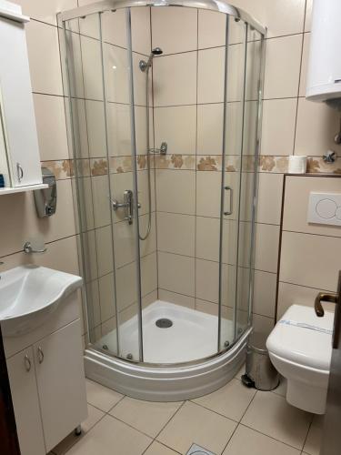 a shower with a glass door in a bathroom at Konačište Osmica in Mokra Gora