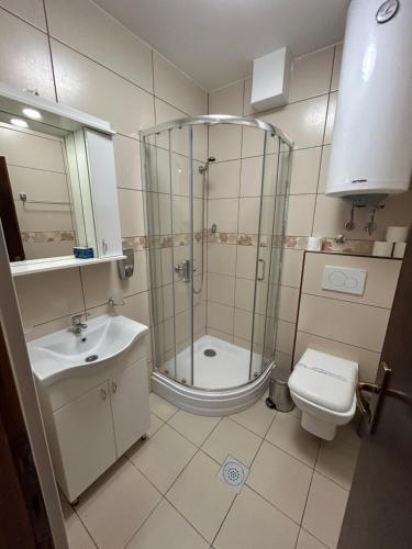 a bathroom with a shower and a toilet and a sink at Konačište Osmica in Mokra Gora