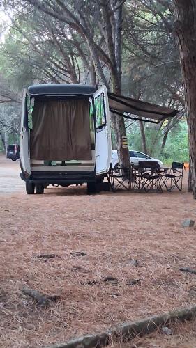 Fandvan