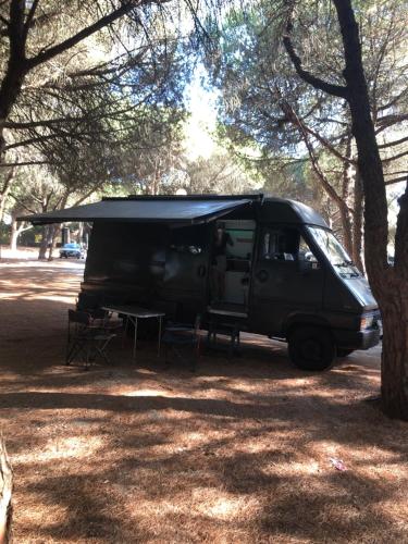 アマドーラにあるFandvanの木の陰に駐車された黒いバン