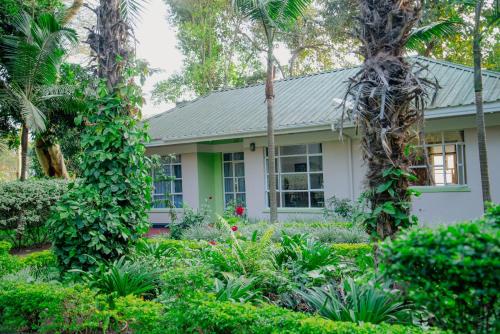 גינה חיצונית ב-Protea House