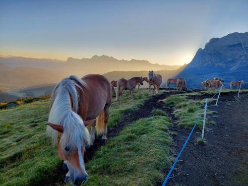 Paisaje cerca de este agroturismo