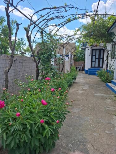 a garden with pink flowers in front of a fence at Casa Antonyo in Jurilovca