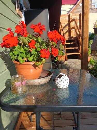 a table with a pot of red flowers on a patio at Lili stuudio in Otepää