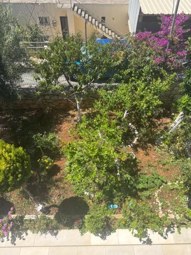 a garden with trees and flowers in front of a building at Eleonora & Kyriakos Guesthouse in Himare