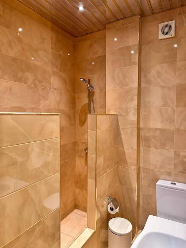 a bathroom with a shower and a toilet at Iceberg Hotel in Tbilisi City