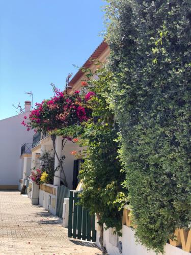 a row of houses with flowers on them at Casa da Oliveira in Vila Nova de Milfontes