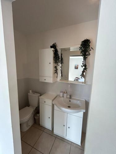 a bathroom with a sink and a toilet at Pont du Gard in Rodilhan