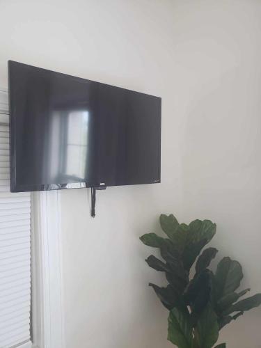 a flat screen tv hanging on a wall next to a plant at Inviting Private Room in Washington DC in Washington