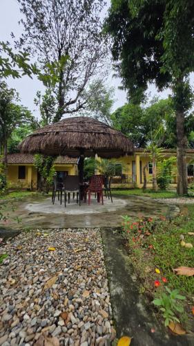 Aed väljaspool majutusasutust Chitwan Safari Resort