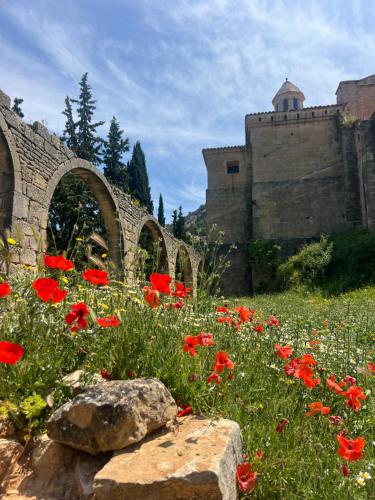 a field of red flowers in front of a building at B&B Masia Katmandú in Cretas