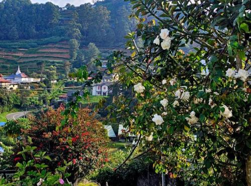 Příroda nedaleko hostelu