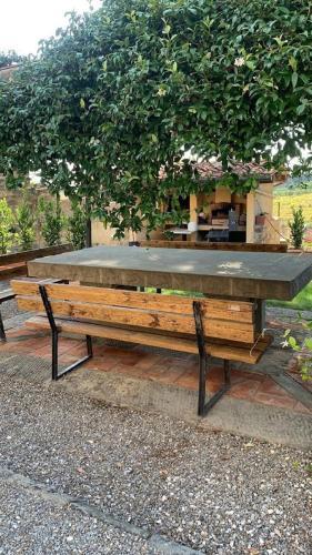 a large wooden bench sitting under a tree at Agriturismo Amici Miei in Marliano