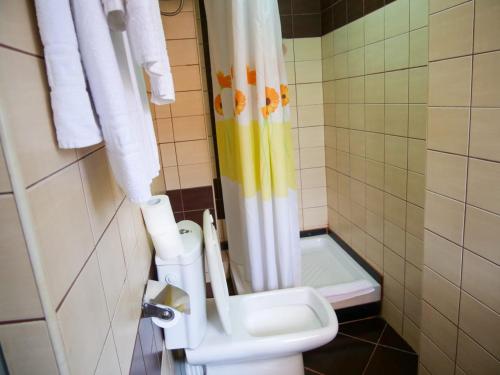 a bathroom with a toilet and a shower curtain at Hotel Serenity in Tirana