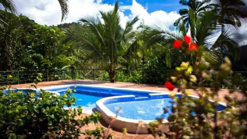 Πισίνα στο ή κοντά στο Pura Natura Lodge Arroyo